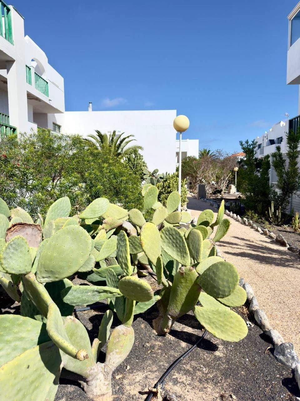 Casita Perla Blanca Lejlighed Costa De Antigua Eksteriør billede